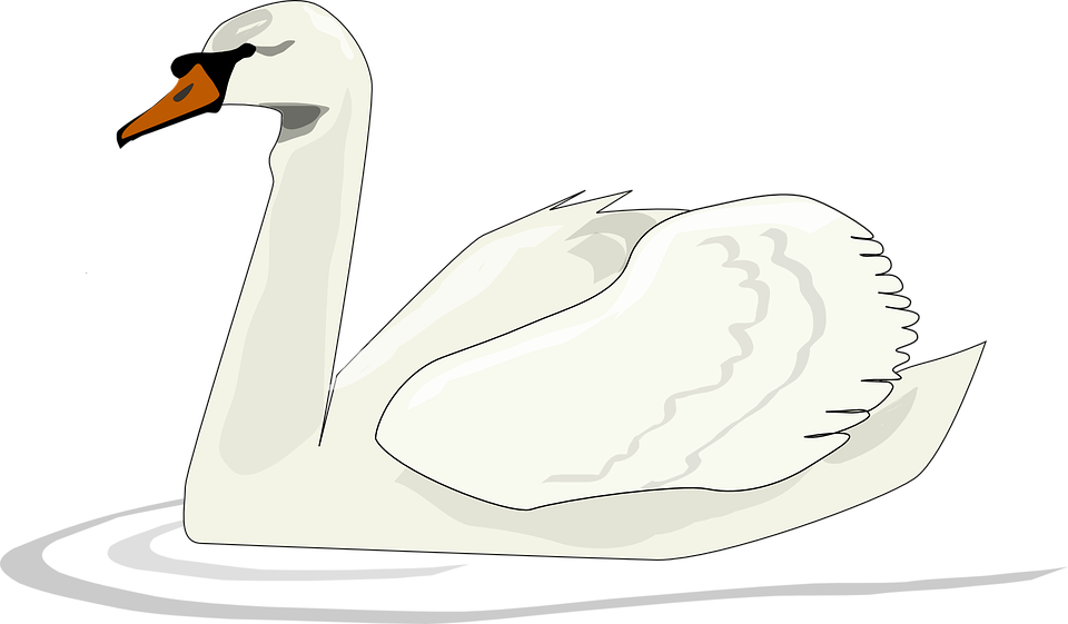 Goose Cliparts 13, - Swan Clip Art (960x561)