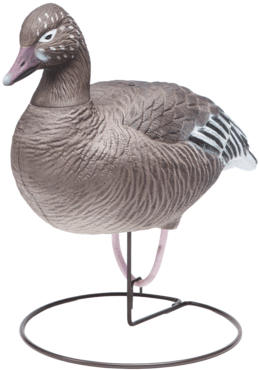 Field Blues Juvenile Goose Hunting Decoy From Final - Mallard (400x386)