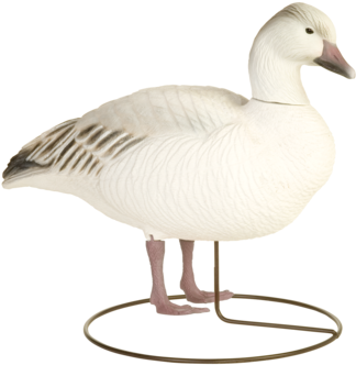 Field Snows Juvenile Goose Hunting Decoy From Final - Snow Goose (345x400)