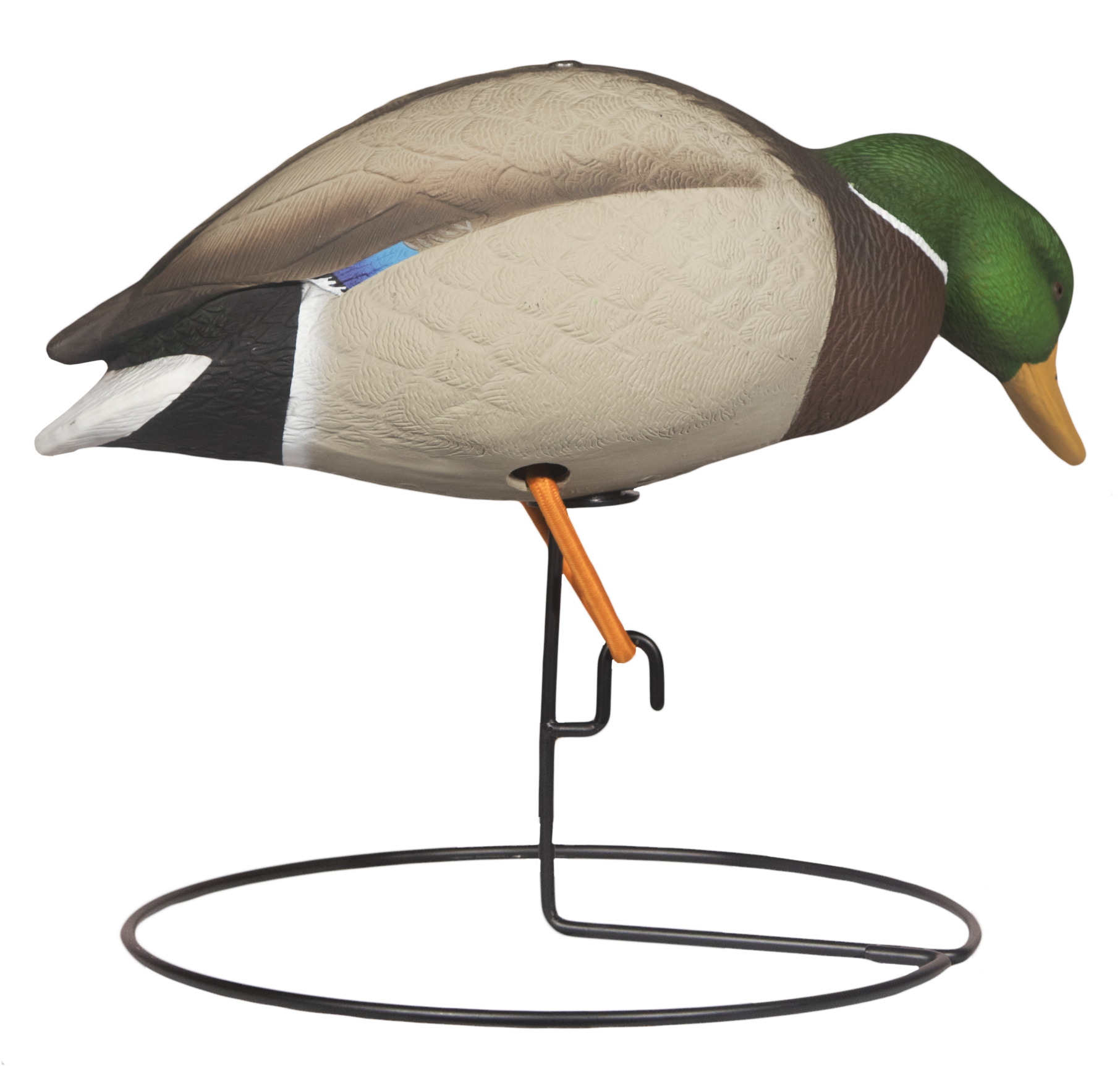Rugged Full Body Mallard Feeding Drake Right Side Painted - Hard Core Rugged Series Full Body Mallards (2048x2048)