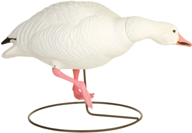 Field Snows Goose Hunting Decoys From Final Approach - Final Approach Last Pass High Definition Snow Goose (400x314)