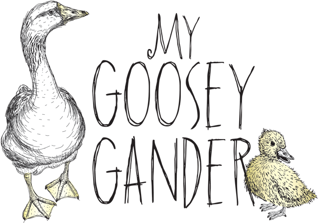 Dessin D Oie Sur L Eau (713x500)