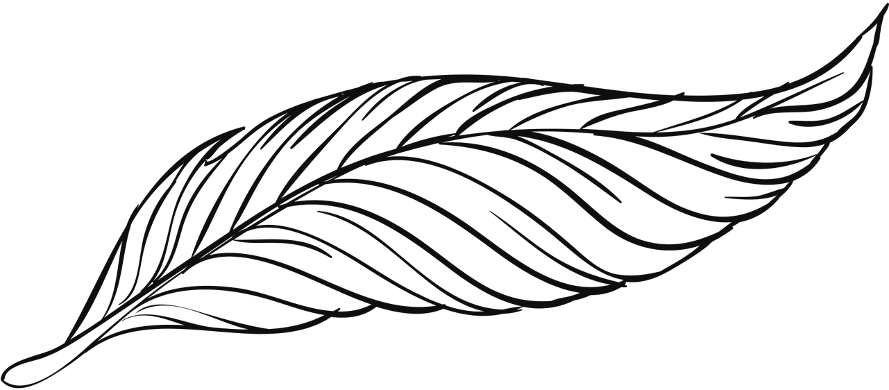 Bird Goose Feather - Feather Drawing Png (1280x640)