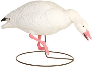Field Snows Goose Hunting Decoy From Final Approach - Snow Goose (400x329)