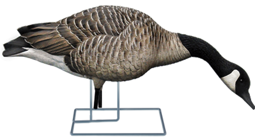 Axp Fusion Honker Decoy Pack - Canada Goose (940x587)