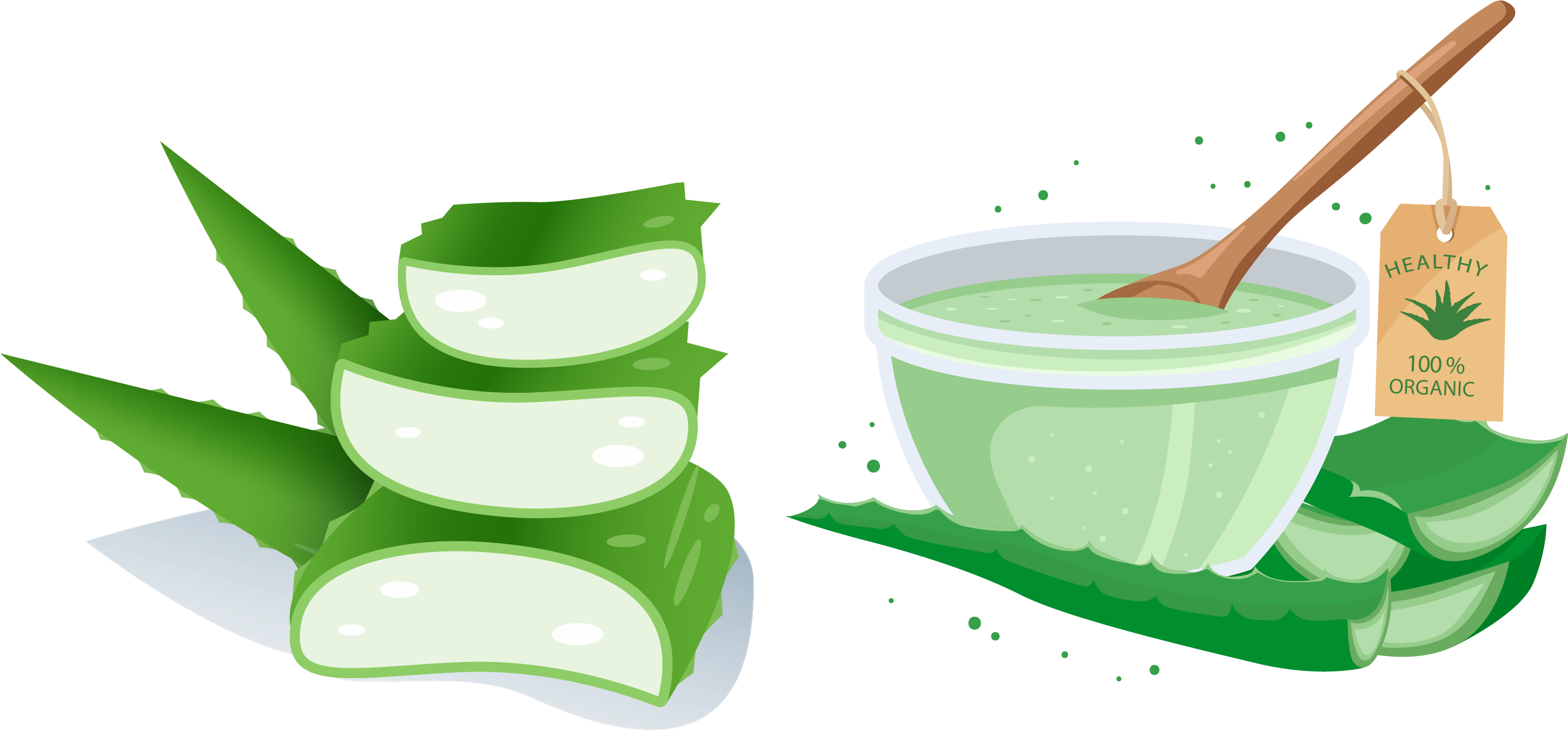 Aloe Vera Vecteur - Euclidean Vector (3199x1526)