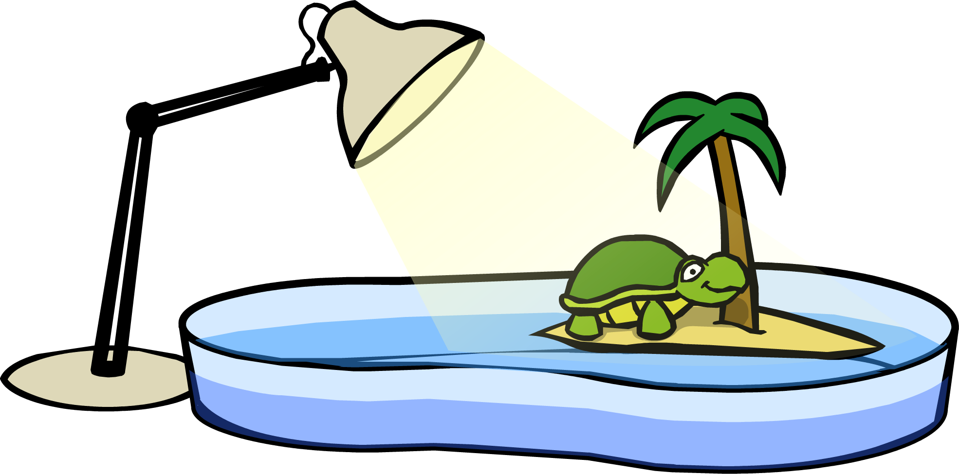 Turtle Bowl - Turtle In A Bowl (1970x975)