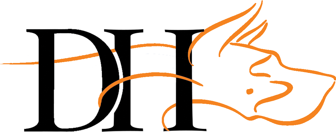 Sapphire Sponsor - $1,500 - Texas (1171x475)