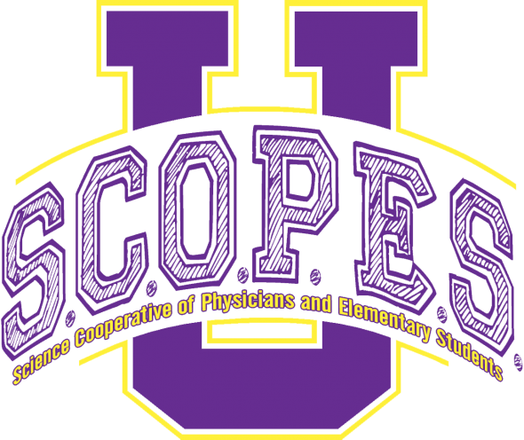Scopes Academy Unioto Elementary School - Unioto High School (590x496)