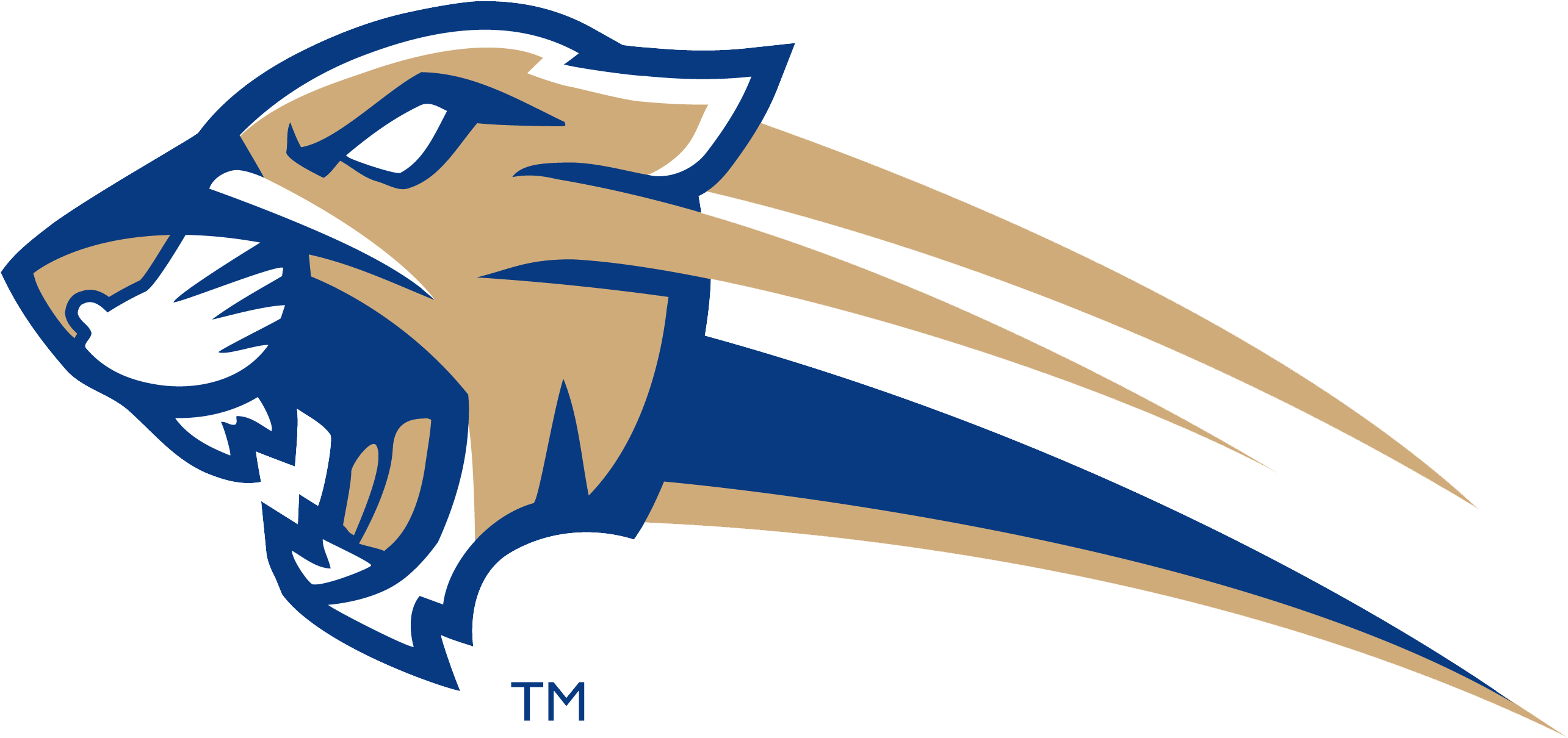 Cougar Football Upends Bishops To Punch Ticket To Semifinals - Steele Canyon High School (2583x1336)