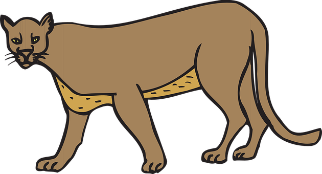 Cat Walking Animal Cougar Panther Wildlife - Cougar Clipart (1280x690)