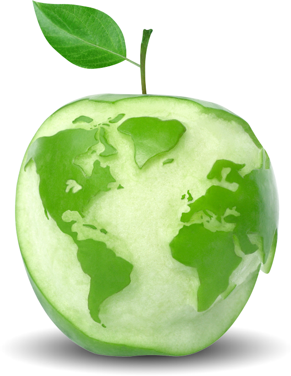 Welcome - Globe Made Of Food (583x754)