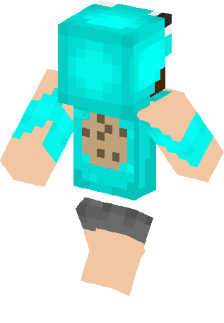 Installation - Minecraft (317x456)