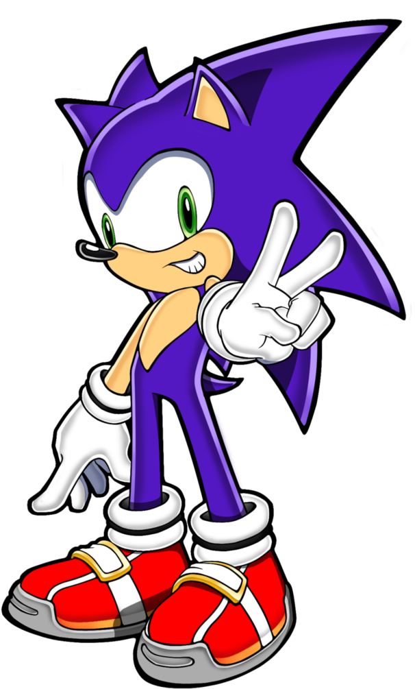 Comet The Hedgehog By Kuma-bei - Hedgehog (748x1069)