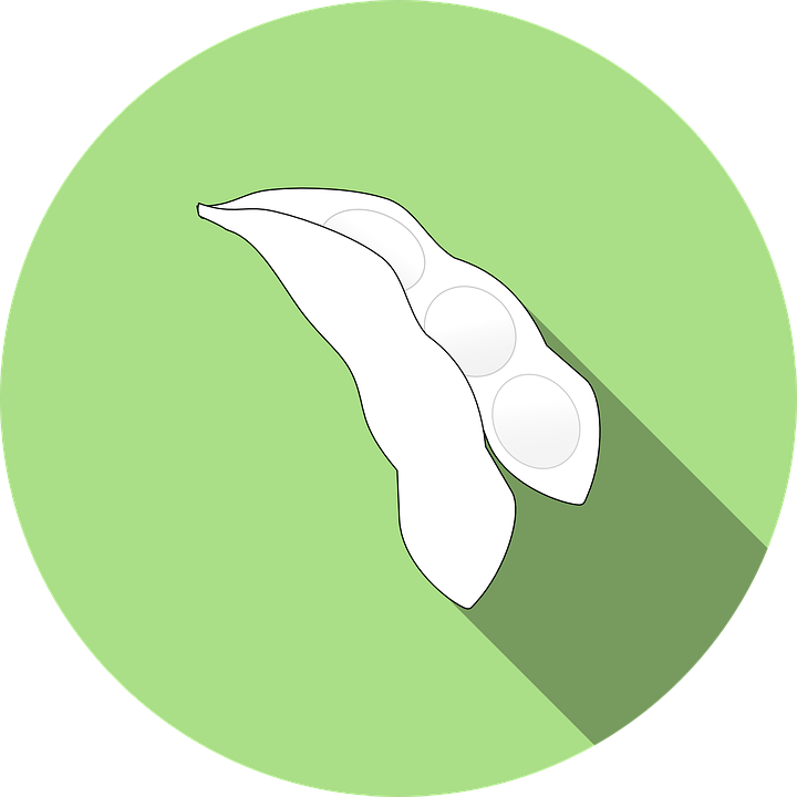 Green Bean Cliparts 14, Buy Clip Art - Soybean Icon Png (720x720)