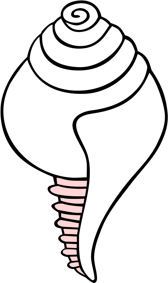 White Conch Symbol - Buddhist Symbols Conch Shell (618x1024)