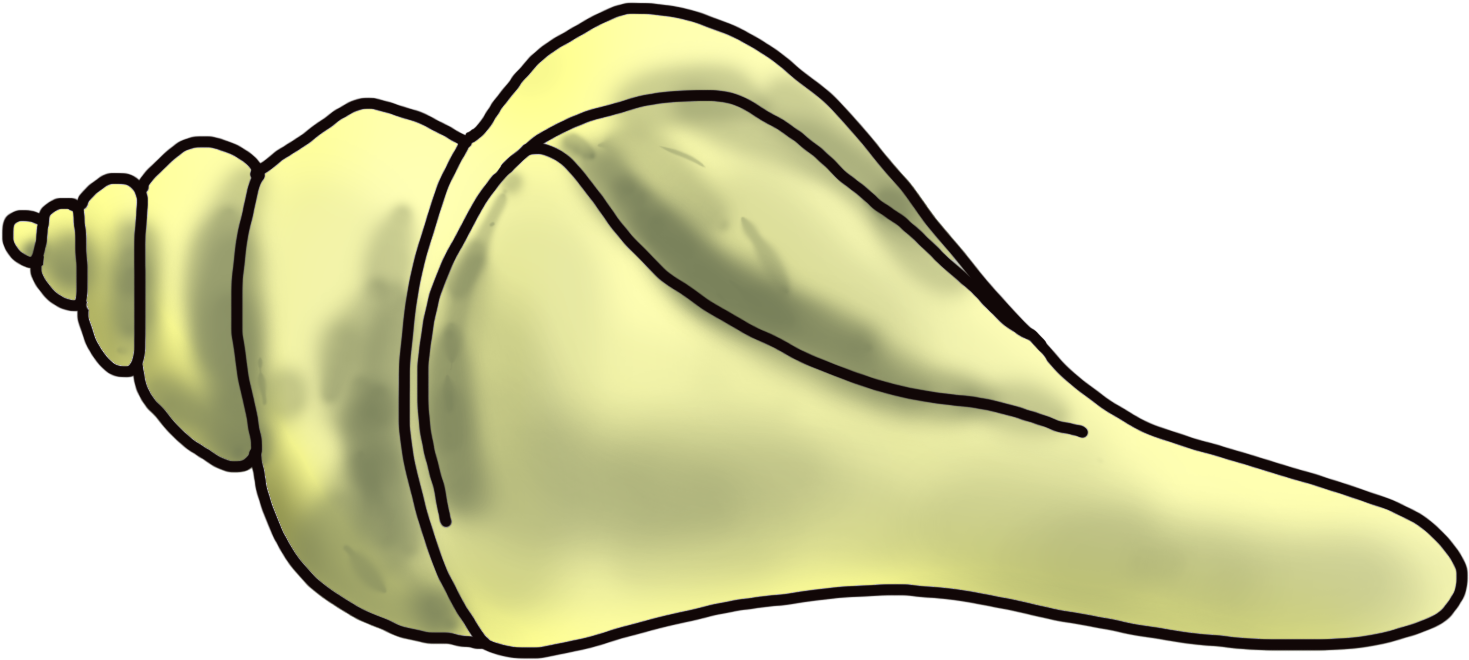 Cartoon Sea Snail Clip Art - Conch Cartoon (1566x768)