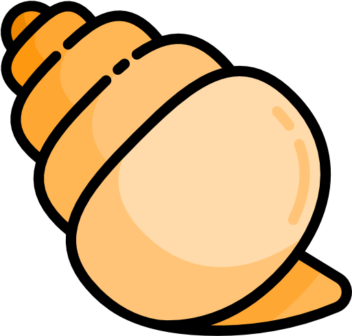 Conch Shell Free Icon - Conch Icon (512x512)