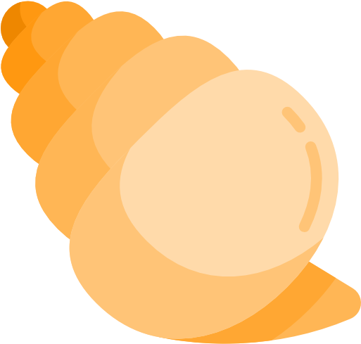 Conch Shell Free Icon - Seashell (512x512)