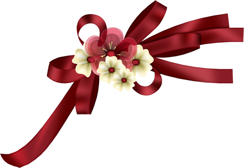 Christmas Bows, Ribbon Bows, Ribbons, Shells, Knit - فواصل فيونكه (800x552)