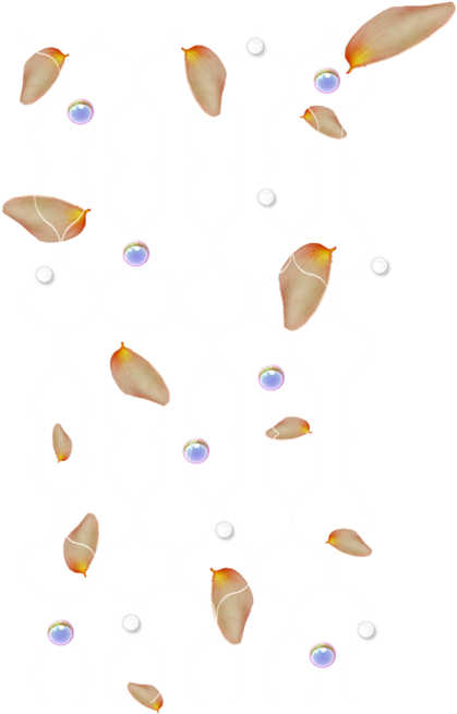 Conch Gastropod Shell Clip Art - Conch Gastropod Shell Clip Art (451x699)