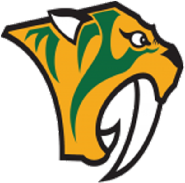 Sabers - St Thomas More Sabers (720x720)