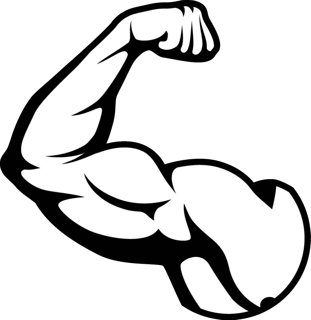Muscle Clipart Transparent (1080x1113)