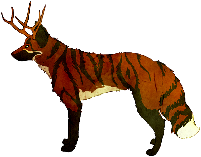 A Tiger Striped Fox Character By Chertan Koraki - Red Fox (800x626)