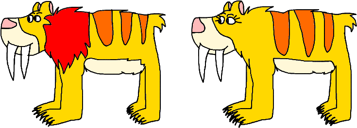 Ursid Cat Like Bear With Big Teeth That Looks Like - Ursid Cat Like Bear With Big Teeth That Looks Like (767x295)