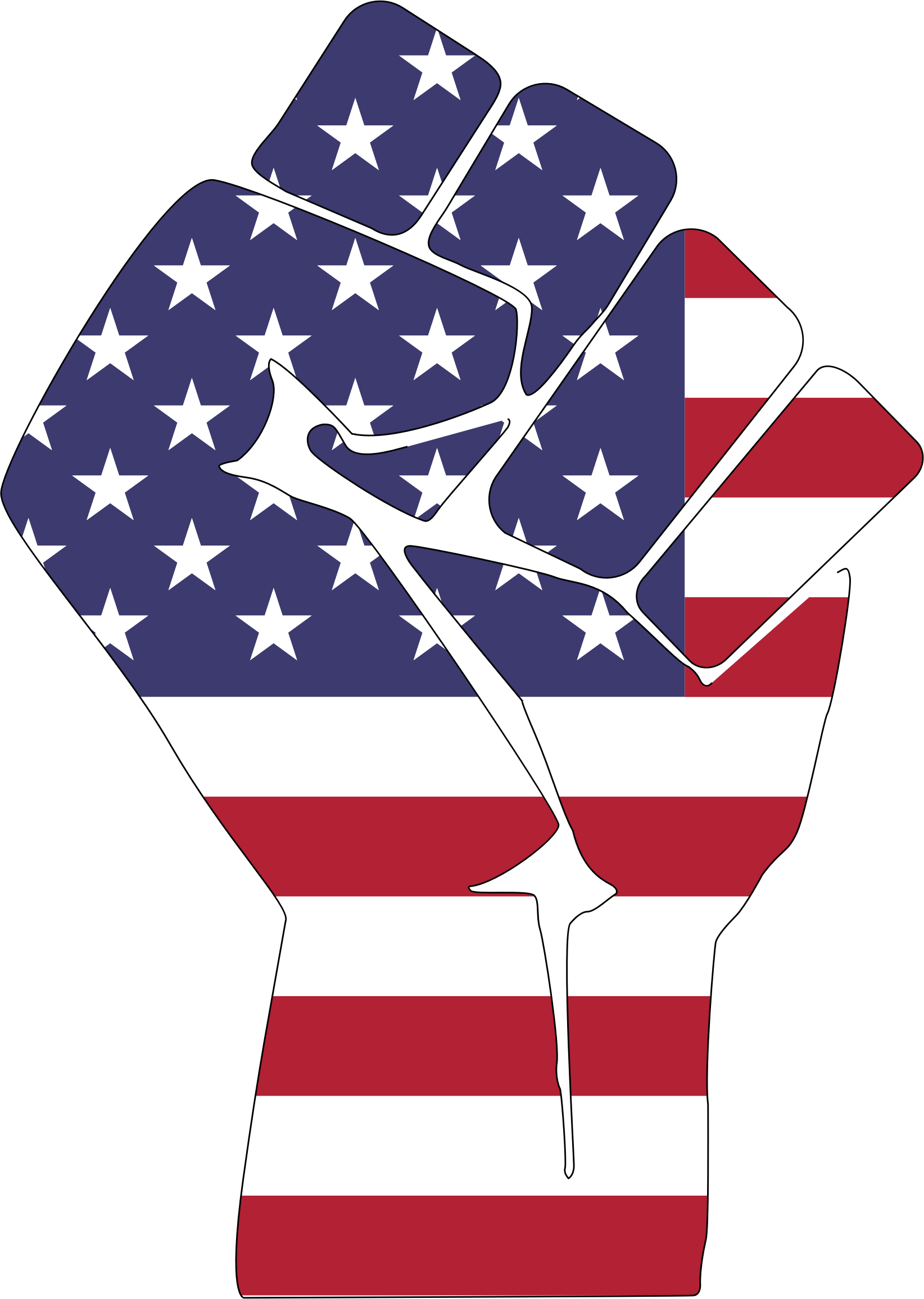 Medium Image - Fist With American Flag (1644x2312)