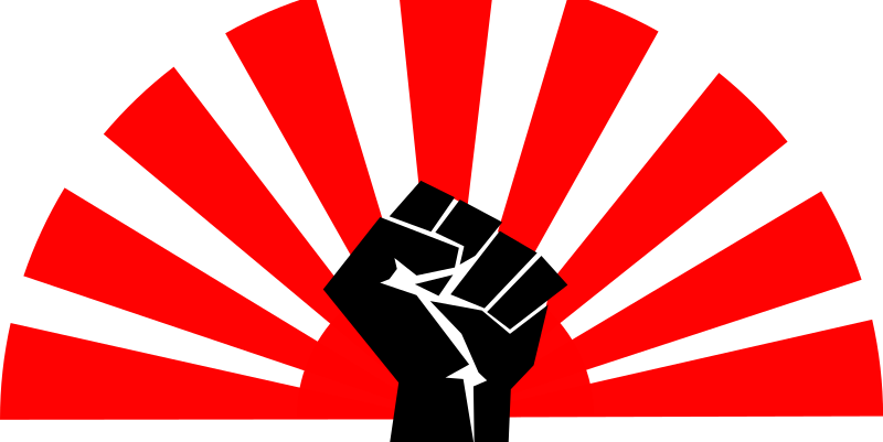 Medium Image - Fist Flag (800x401)