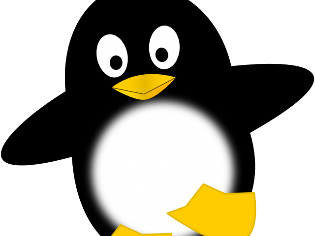 Cartoon Penguin Clipart - Pinguin Clipart (640x480)