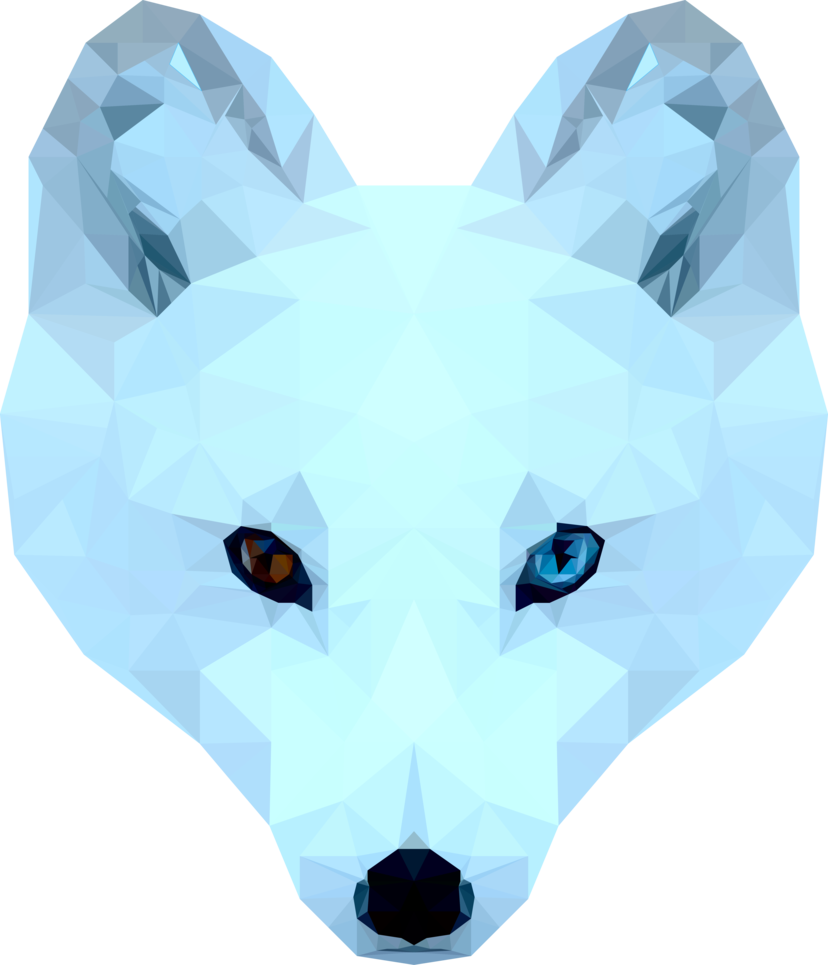 Arctic Fox By 0l Fox L0 - Arctic Fox (828x965)