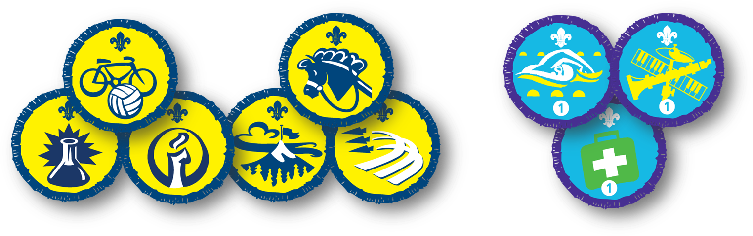 Beaver Badges - Cubs Scout Badges Uk (1542x497)
