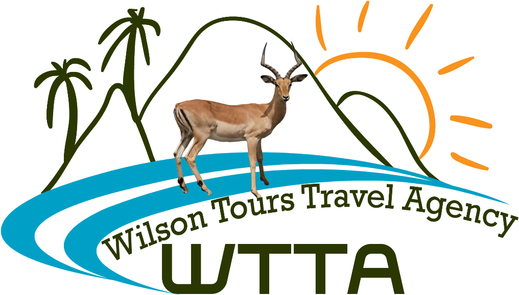 Wilson Tours Travel Agency - Travel And Tourism (1024x585)