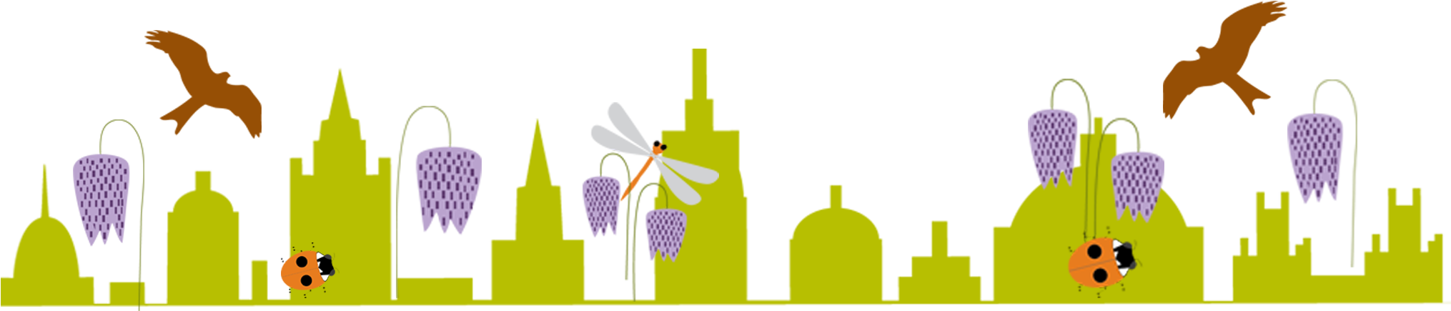 Oxford Festival Of Nature Graphics By By Rachel - Nmature Png (2048x550)