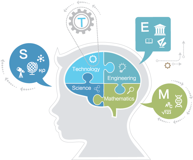 The Role Of Science Technology Engineering And Math - Illustration (886x738)