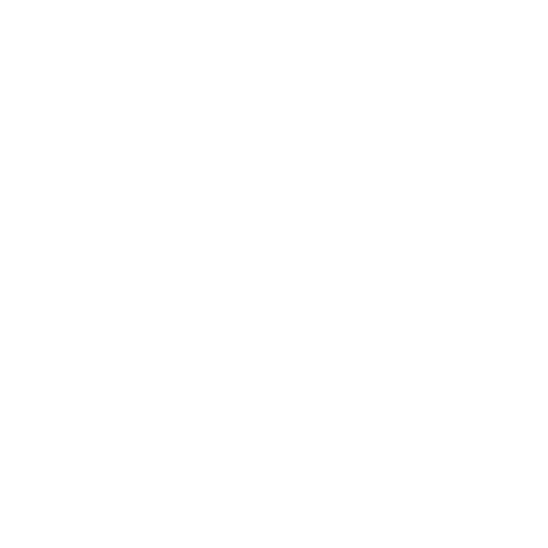 Octagonal - Circle (500x500)