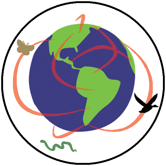 Computer Icons Clip Art - Computer Icons Clip Art (540x540)