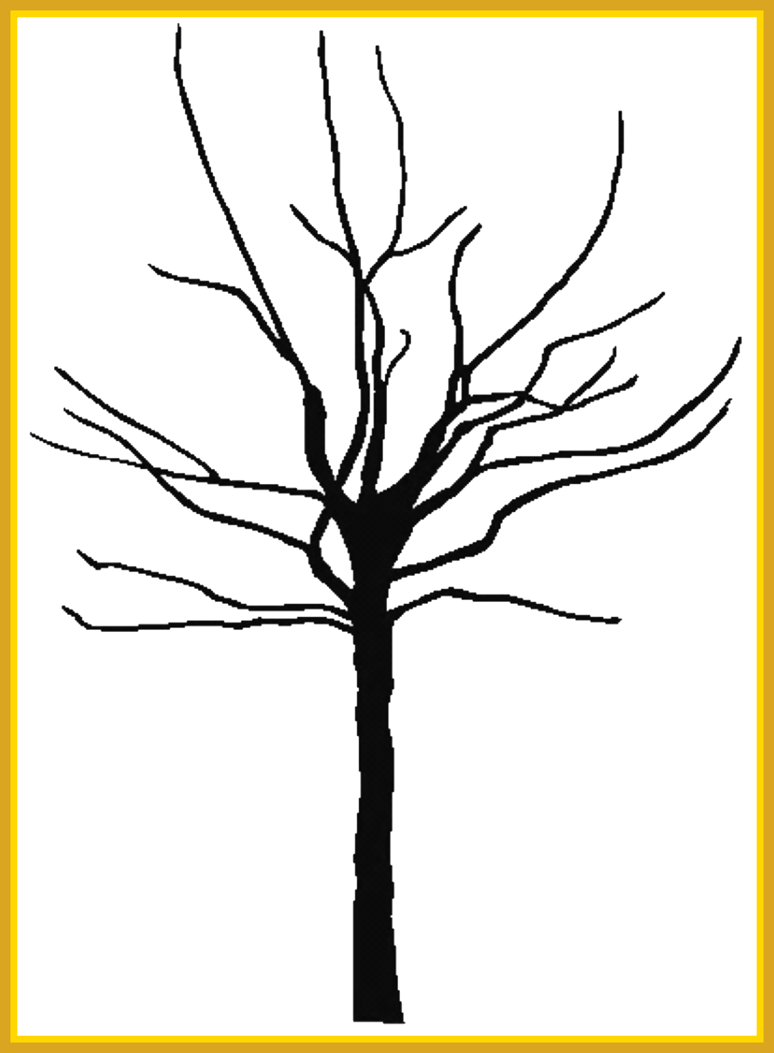 Unbelievable Bare Tree Clipart Large Projects To Try - Tree Outline Png (1130x1538)