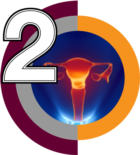 Image - Atlas Panoramatické Hysteroskopie - Kolektív (592x554)