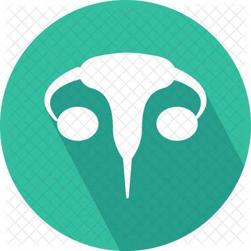 Female Icon - Female Reproductive System (512x512)