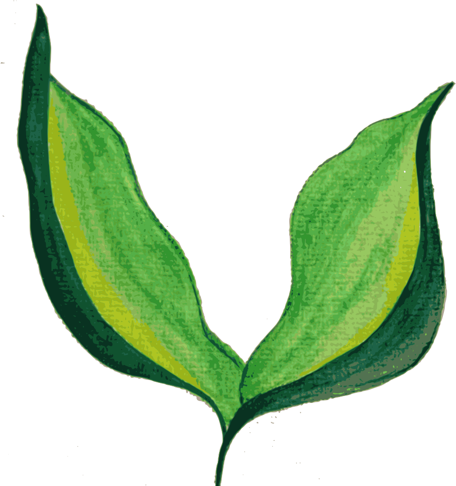 Clip Art Details - Painted Leaves Png (998x1000)