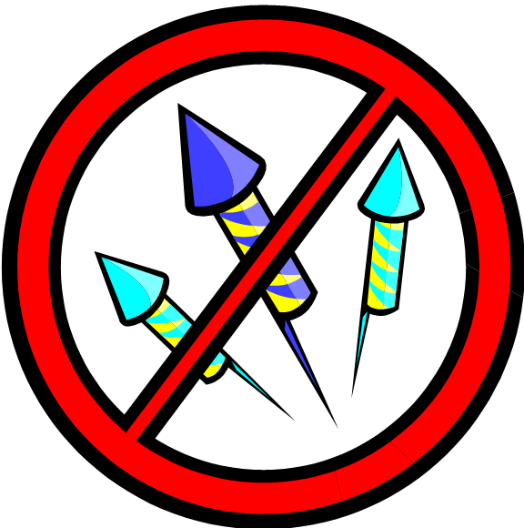 All Fireworks Are Illegal In The City Of Santa Cruz - No Fireworks Png (576x580)