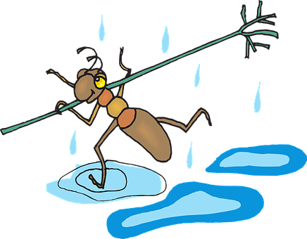 Stick Safety Danger Ant Rain Running Fast - Ant In The Rain Clipart (436x340)