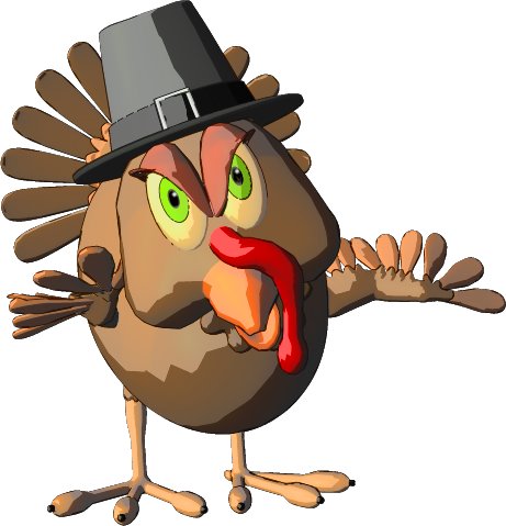 Respect The Bird - Domesticated Turkey (461x479)