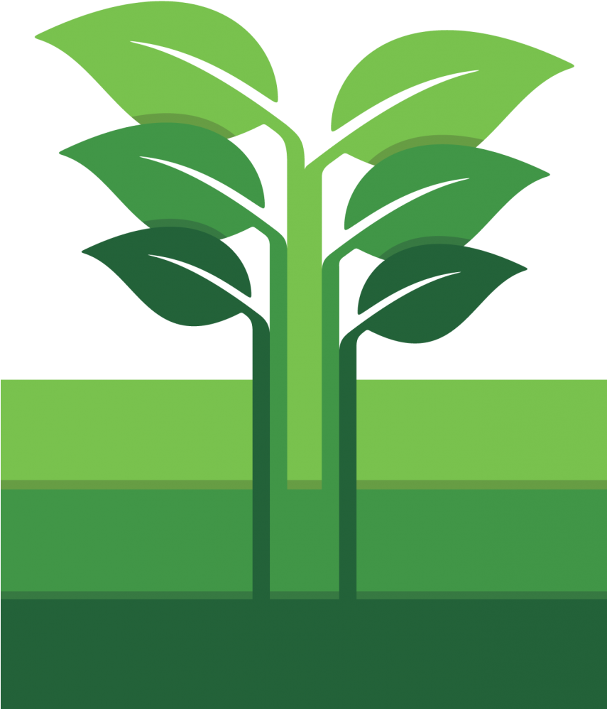 Respect Food & Reduce Food Waste - Food (854x1280)