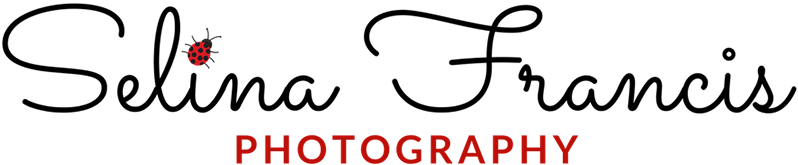 Logo - Time Flies So Fast (900x250)