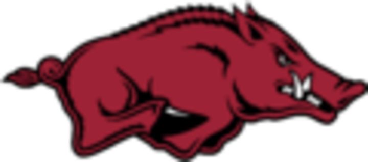University Of Arkansas Razorbacks (720x318)