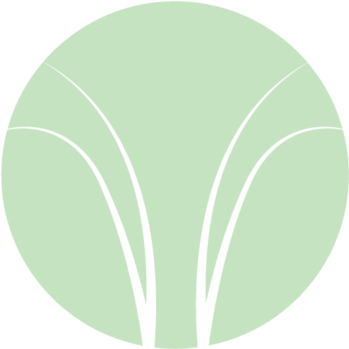 Ut Austin - Circle (500x500)